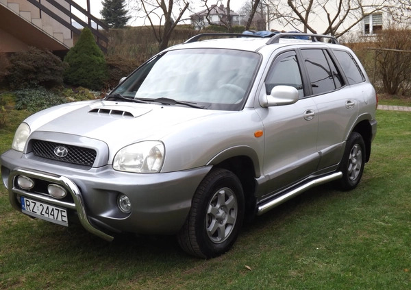 Hyundai Santa Fe cena 14700 przebieg: 292125, rok produkcji 2003 z Rzeszów małe 137